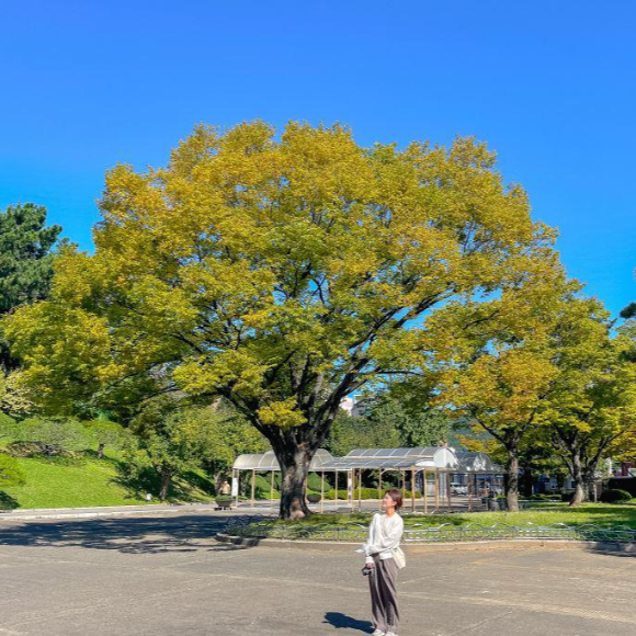 부산-충렬사에-유명한-단풍나무
