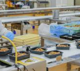 2025년 하반기 현대그린푸드 채용 : 채용분야