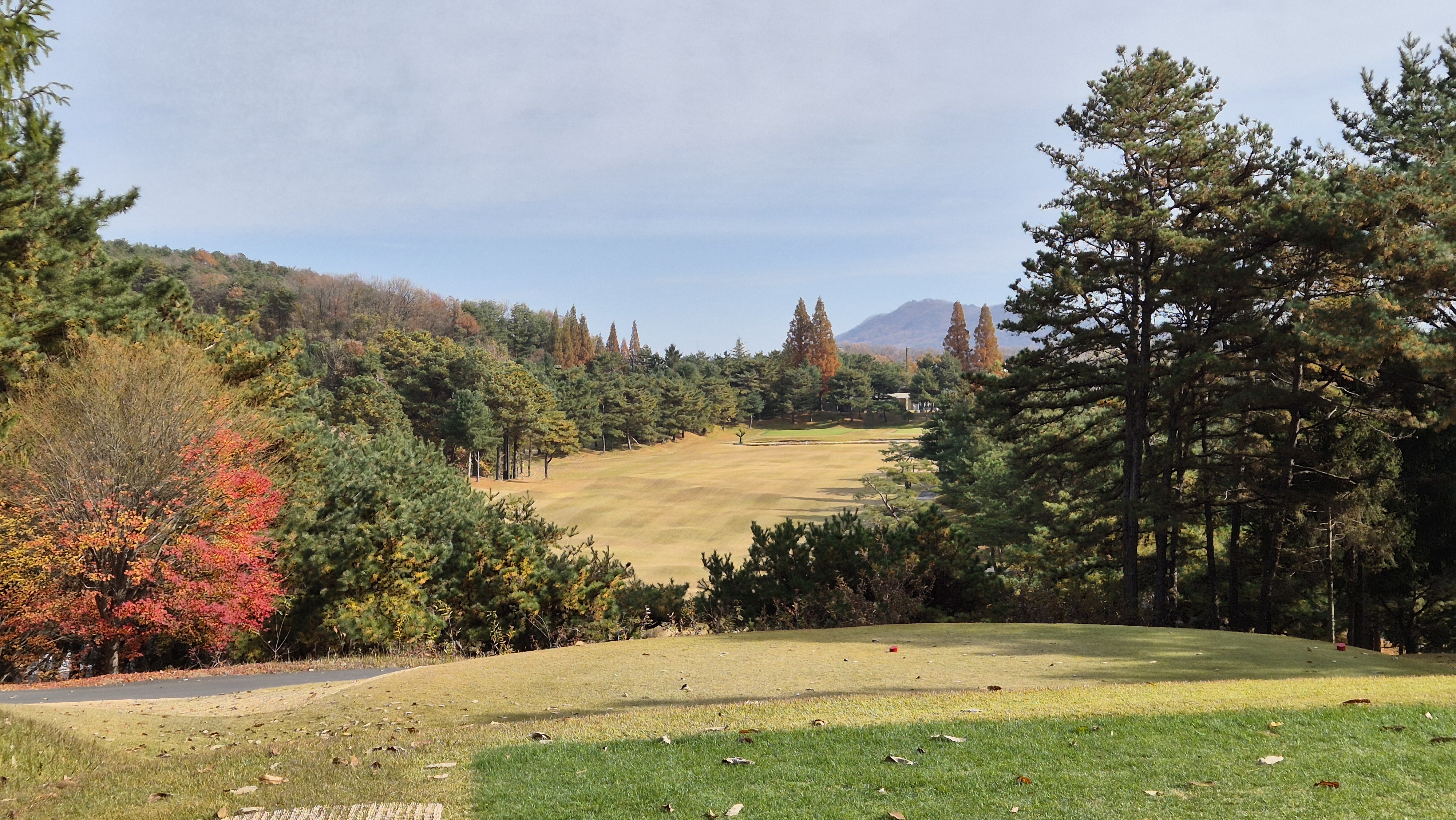 세종에머슨cc 마운틴코스 사진 및 공략 정보