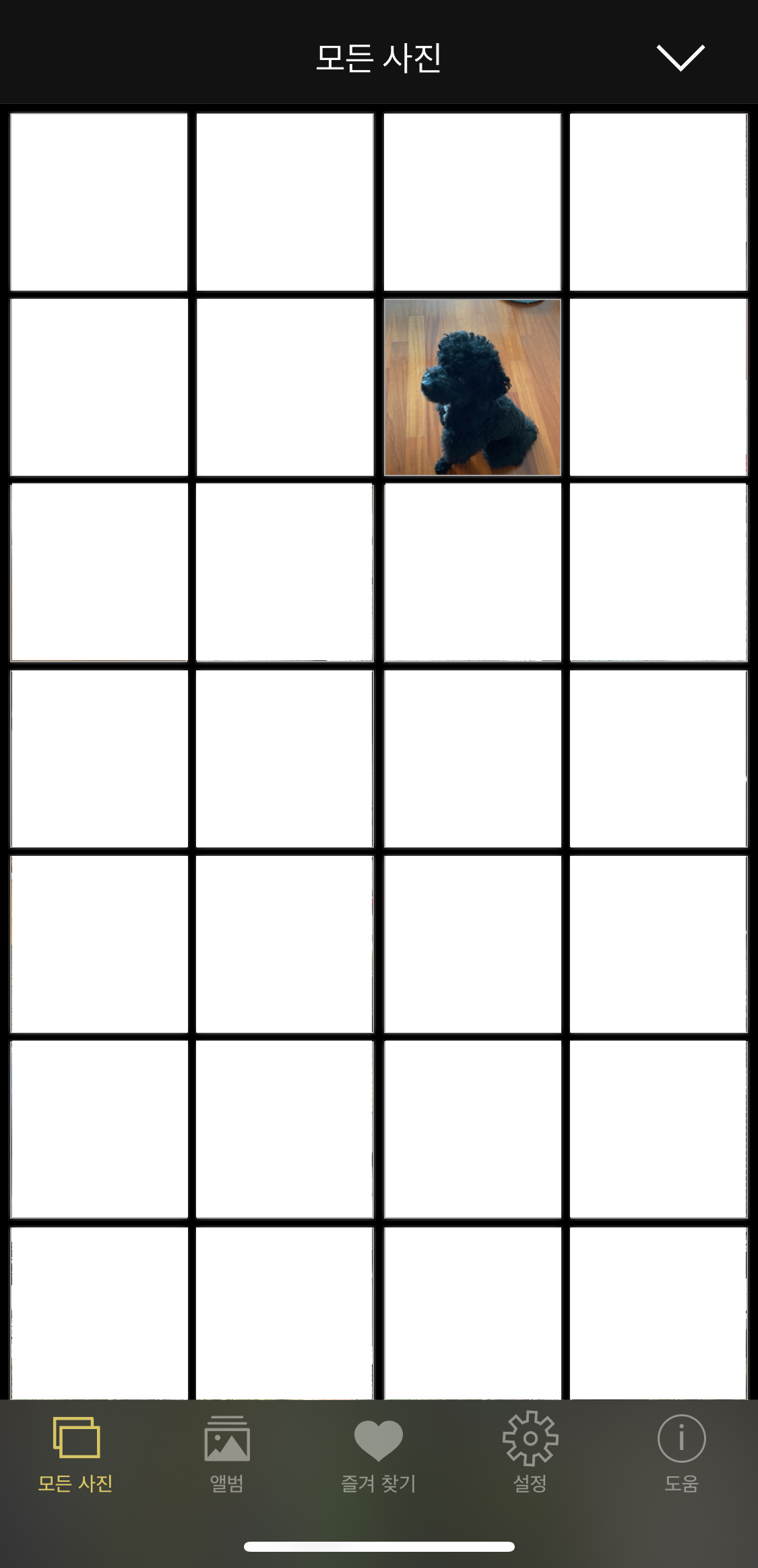 EXIF viewer 모든 사진 보기