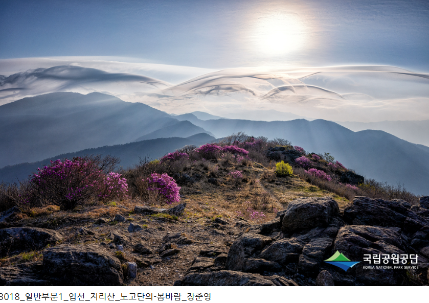 지리산 단풍