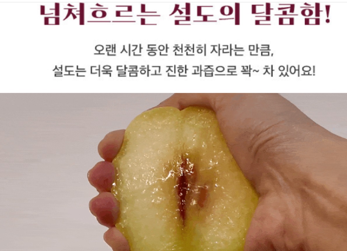 6시내고향-함양-설도-설도마켓