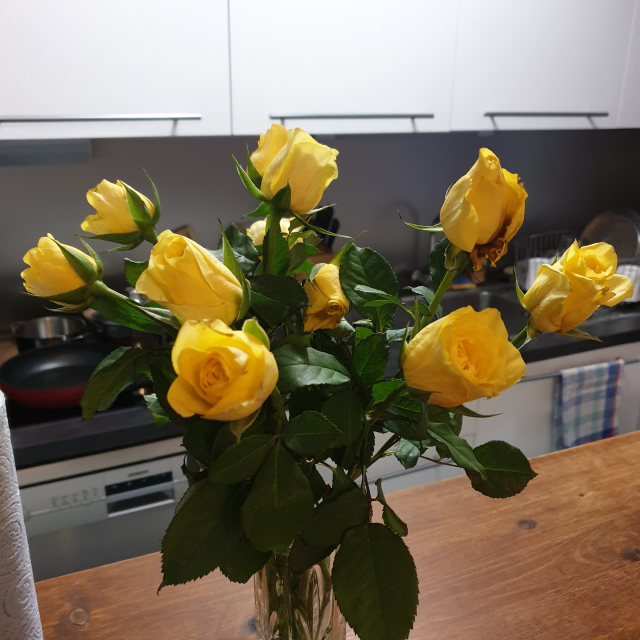 프랑스 파리 마지막날 떠나기전 숙소에서