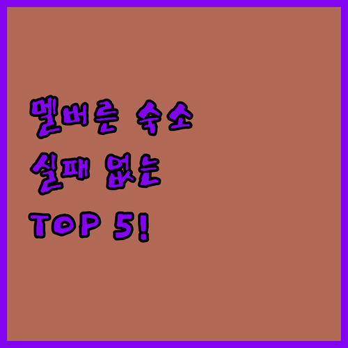 멜버른 여행 숙소 베스트 5 위치별 ..