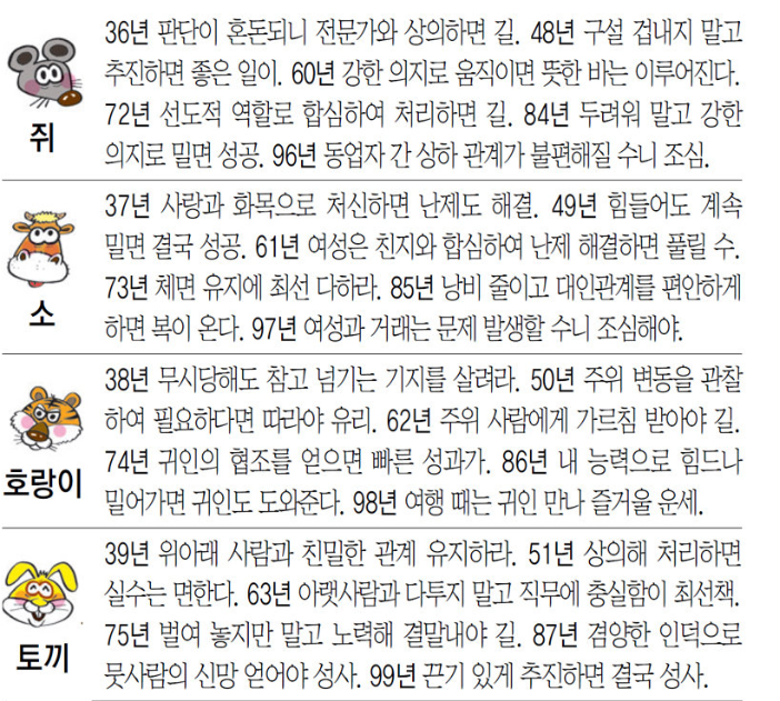 조선일보동아일보네이버오늘의운세홈페이지