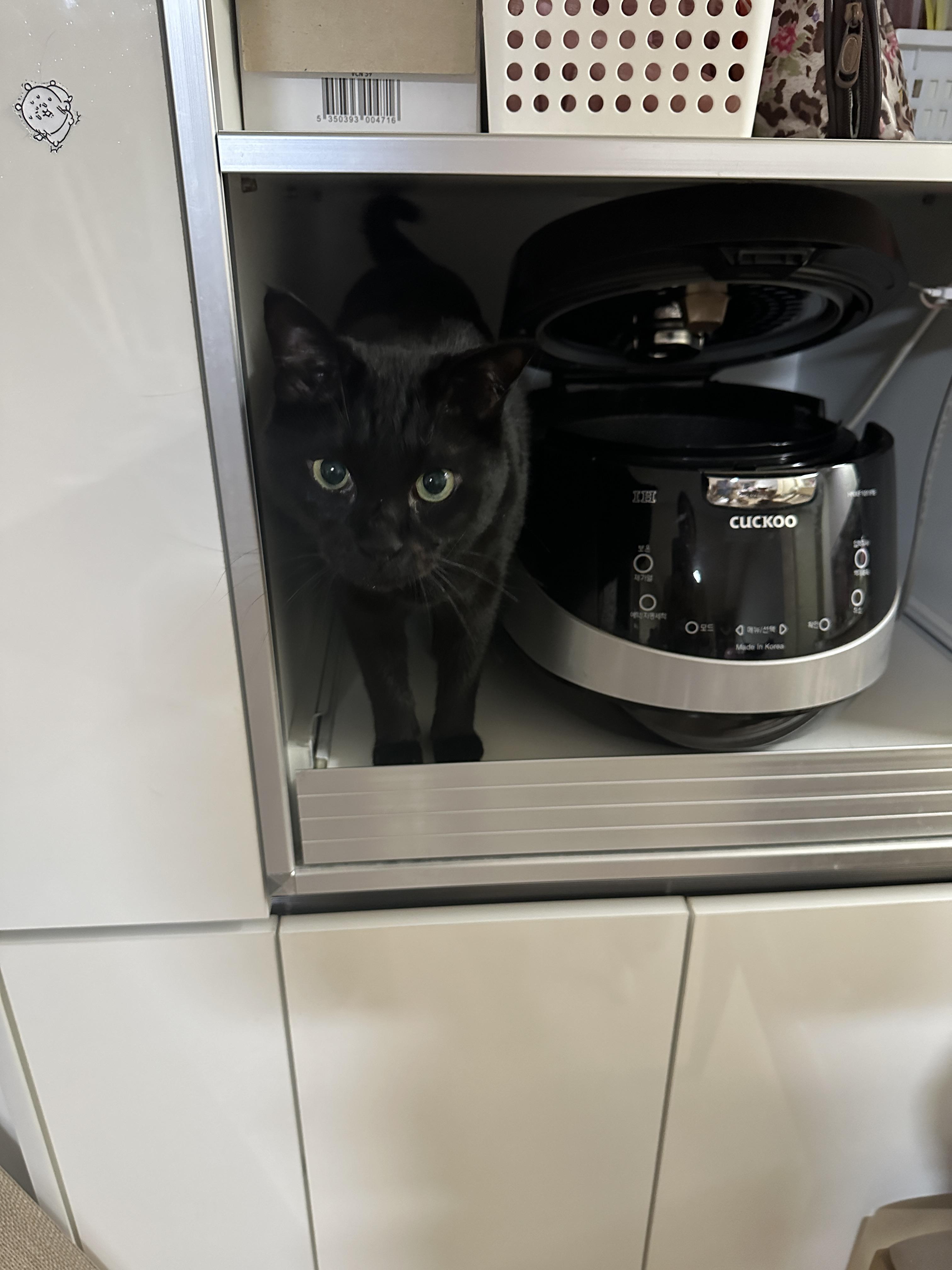 엄마랑_아이컨택_하는_건이