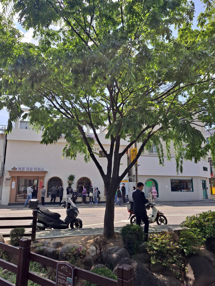 쯔양 돈까스와 정원분식