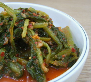 열무 효능 부작용 고르는법 칼로리