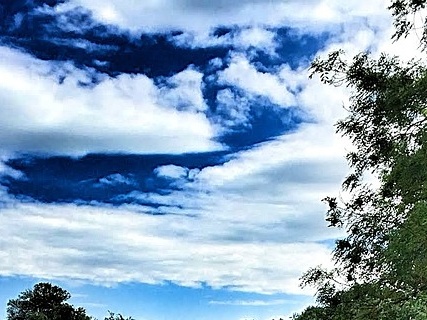 자동차검사예약