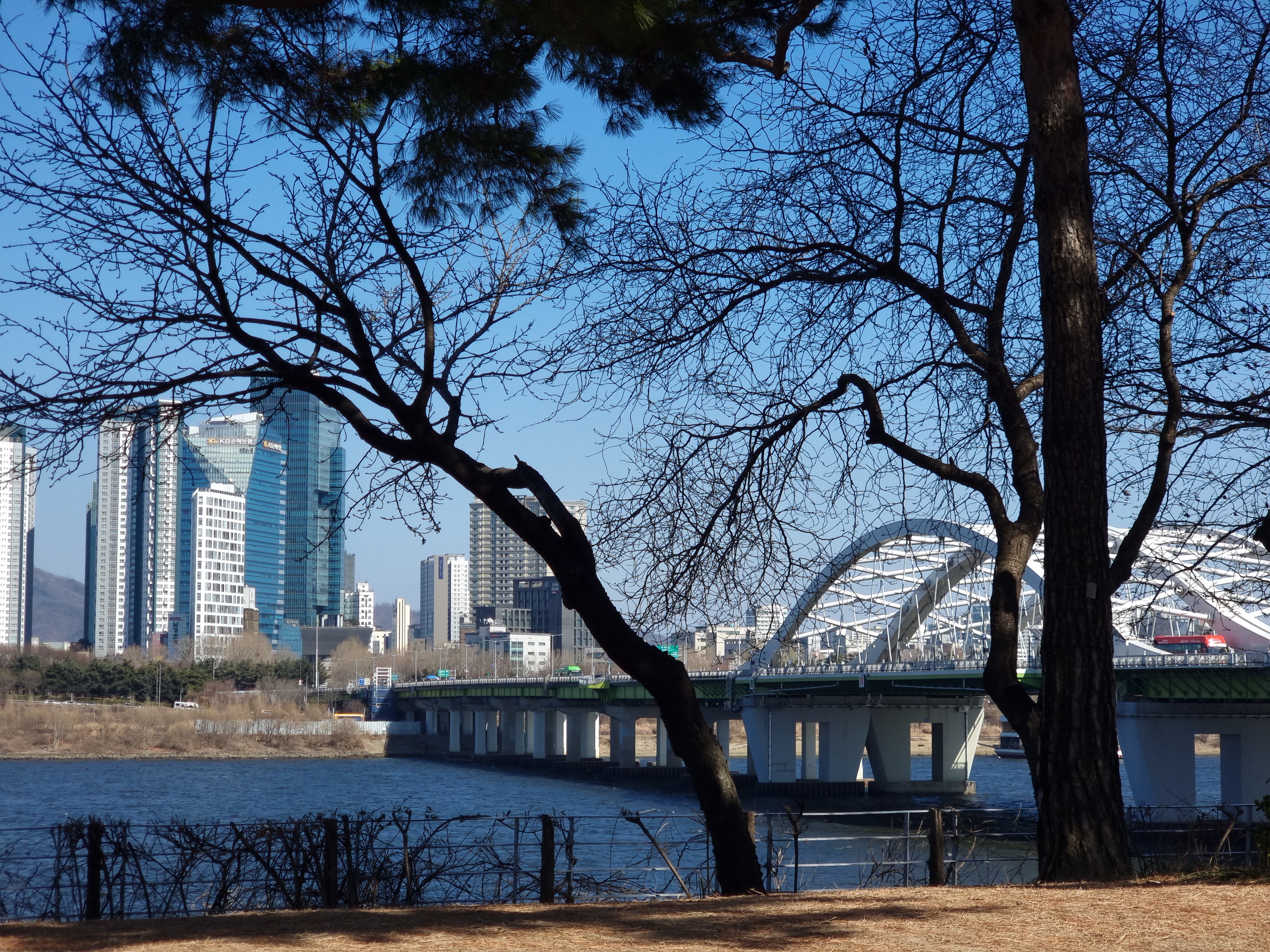 선유도공원 겨울 '선유교전망대'