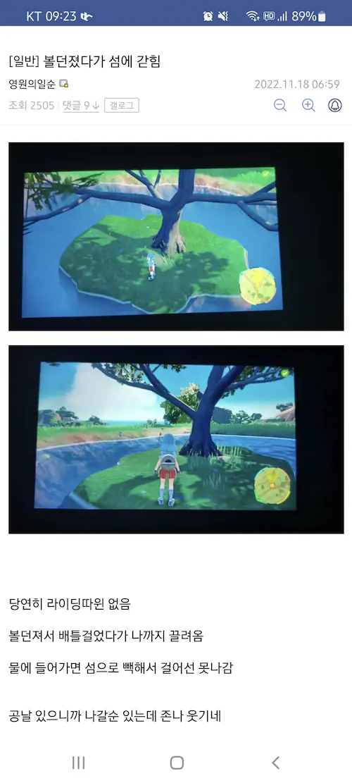 포켓몬스터 스칼렛 바이올렛 버그
배틀 도중 무인도에 갇히는 버그