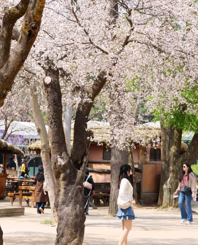 지하철 남이섬 가는 방법