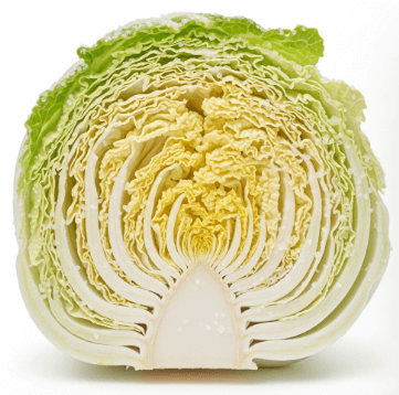 세척 품질 확인 포인트3