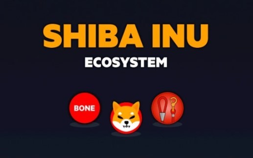 시바이누 에코시스템