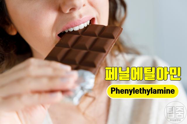 편두통 음식 유발 식품성분 페닐에틸아민 부작용
