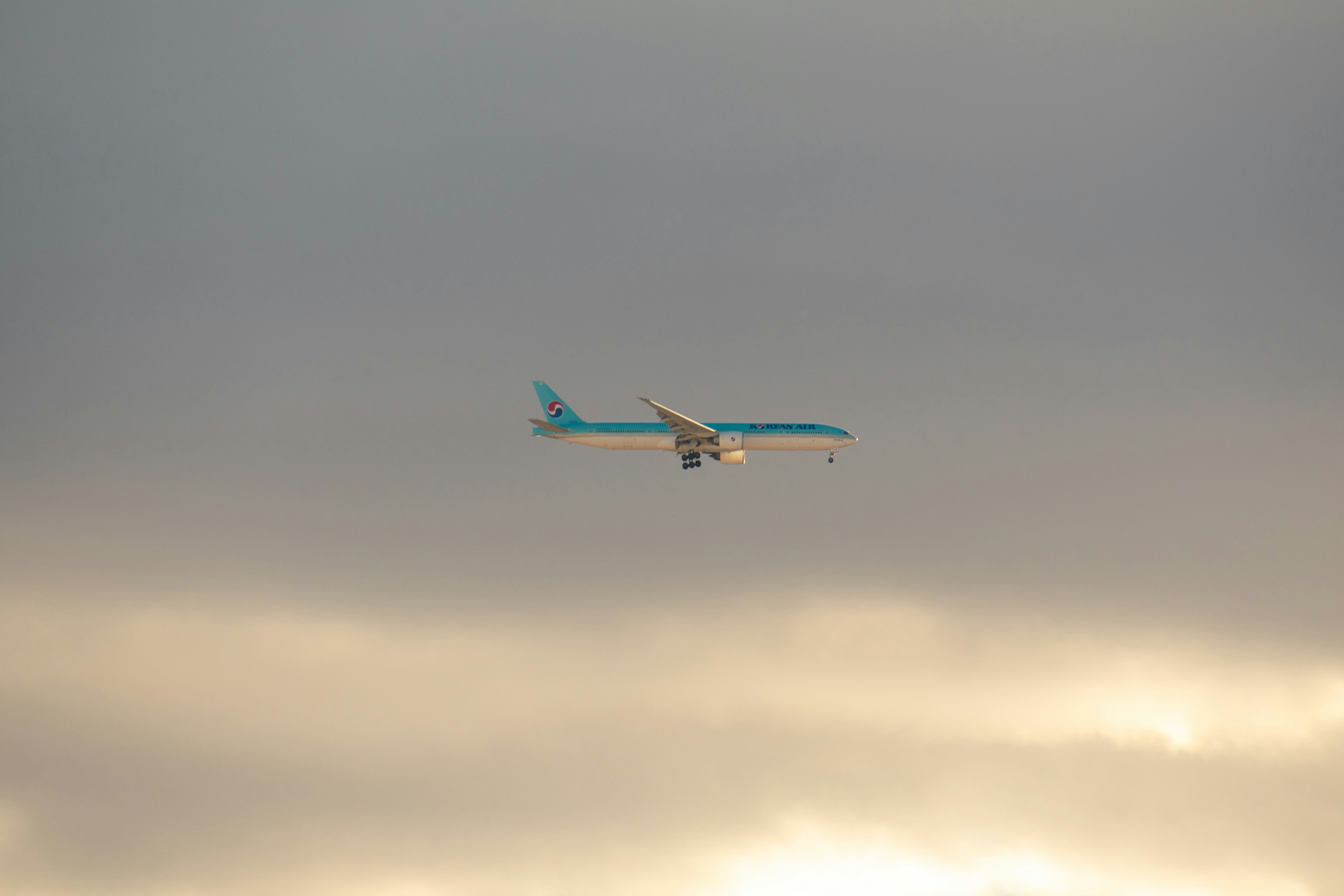 대한항공 국제선·국내선 수하물 규정 완벽 가이드 및 팁