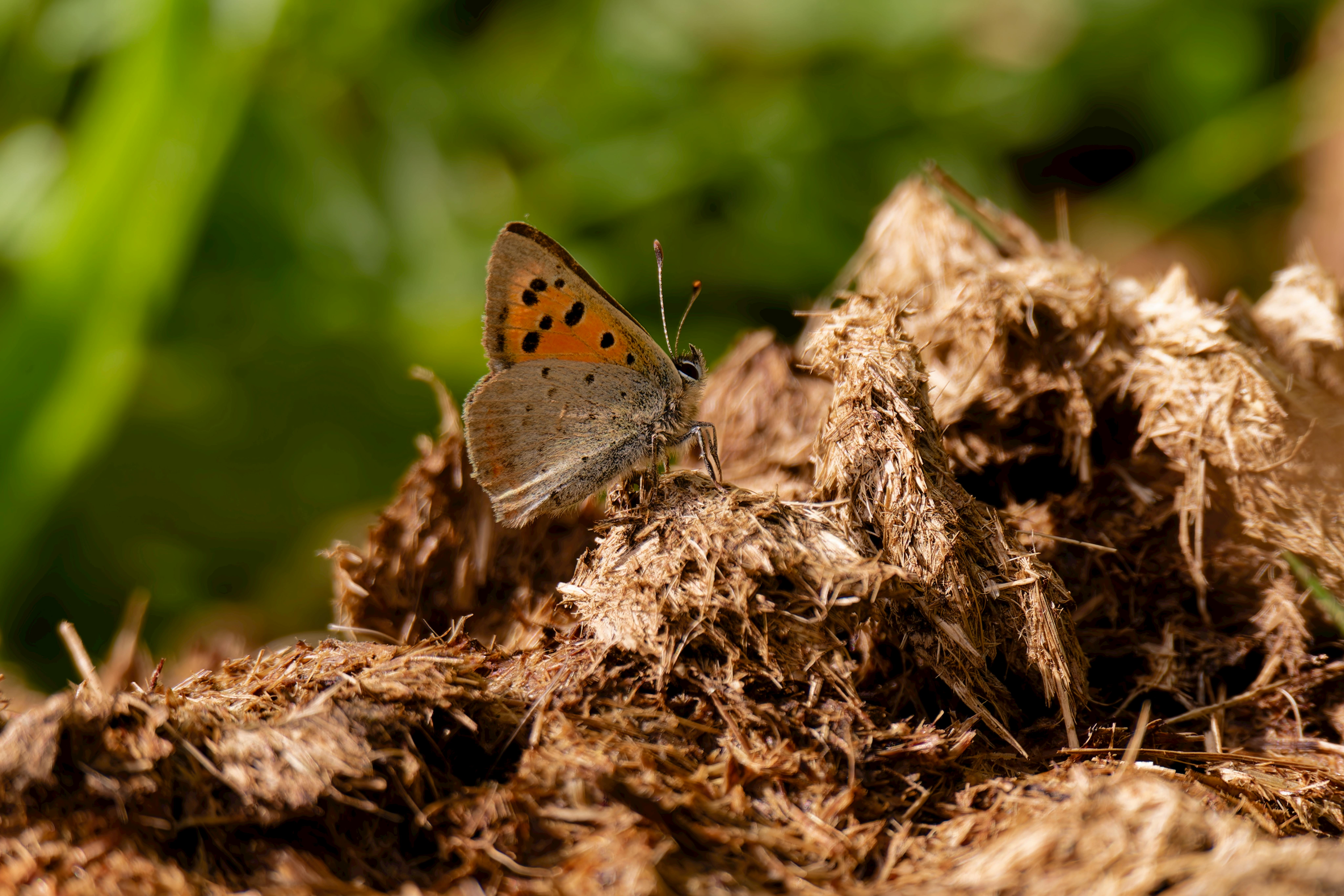 친구와 심하게 다투는 장면을 상징하는 이미지