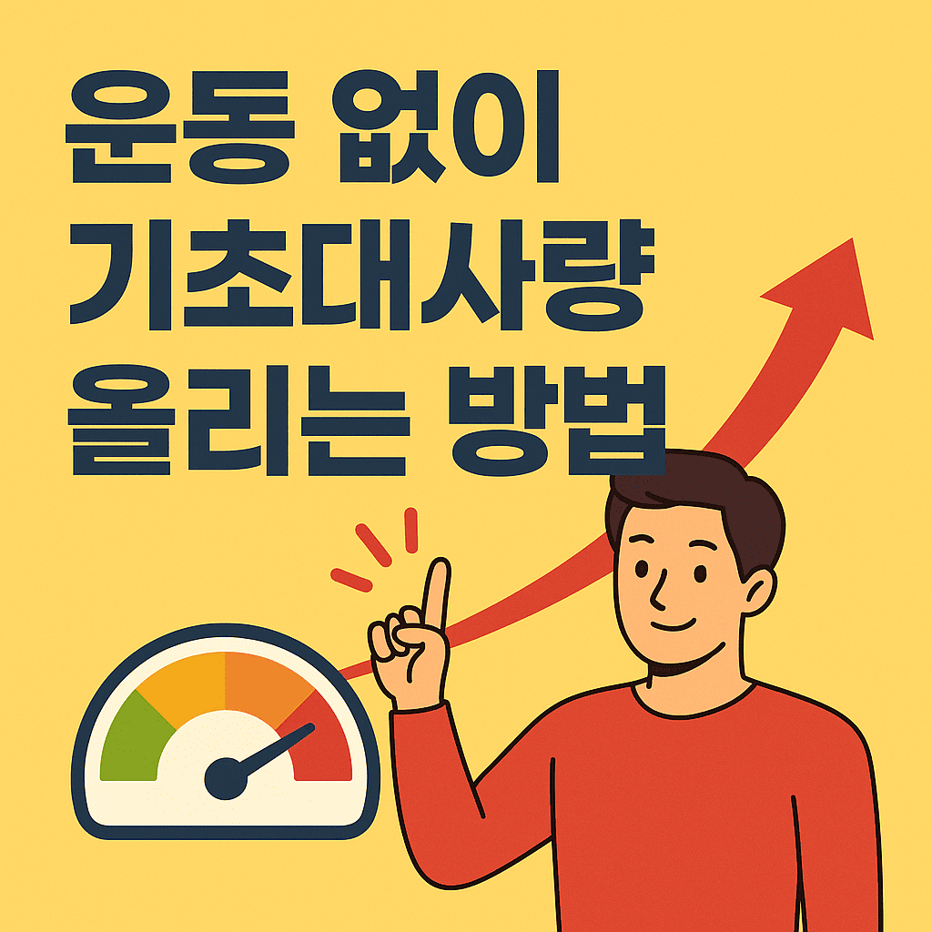 운동없이 기초대사량 올리는 방법