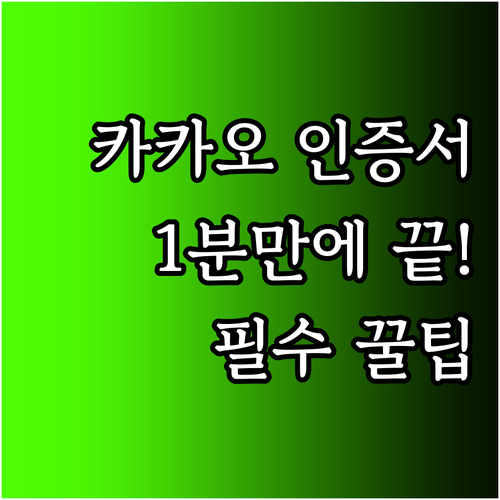 카카오 인증서 만드는 법 본인 확인부..
