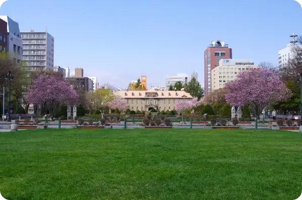 삿포로 6월 날씨