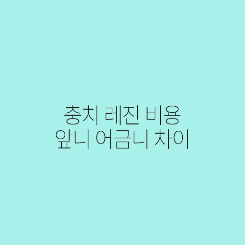충치 레진 비용 앞니 어금니 차이