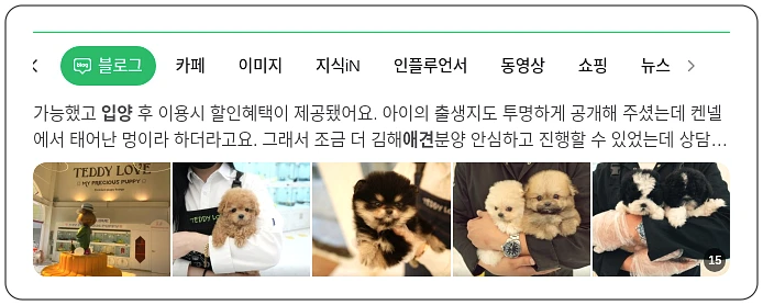 애견 입양 이야기_1_subsection