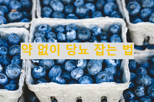 약 없이 당뇨 잡는 법