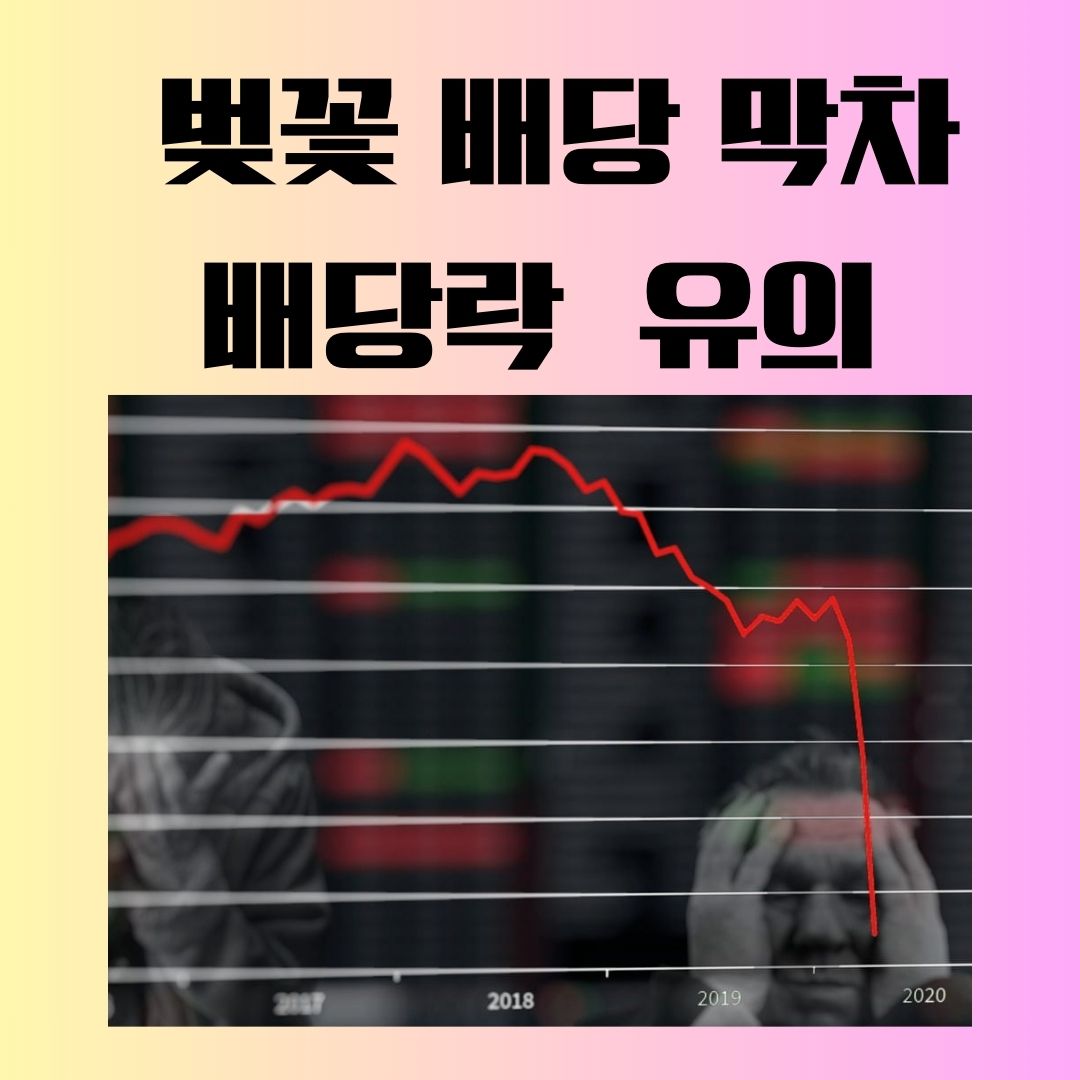 벚꽃 배당 막차 앞두고 배당락 투자 유의