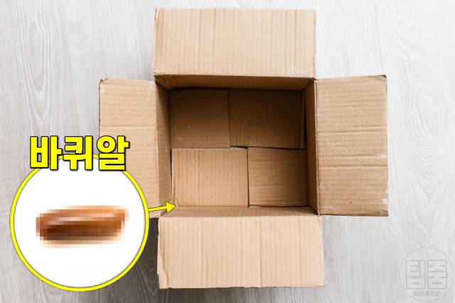 택배상자 바퀴벌레 알,택배박스 바퀴알
