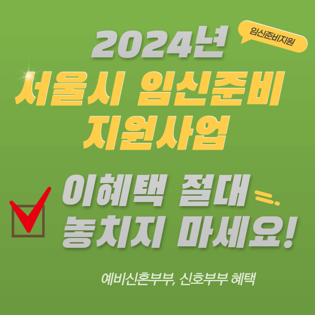 2024년 임신준비 지원사업, 임신전 보건소 검사, 임신중 보건소 검사, 예비신혼부부 사전 임신검사