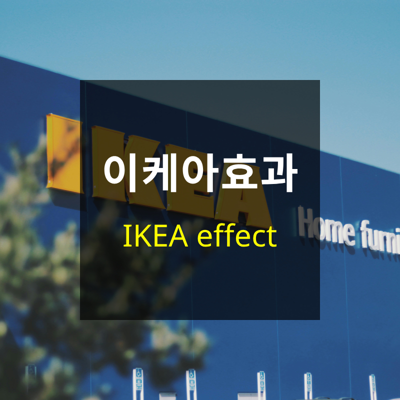 이케아효과