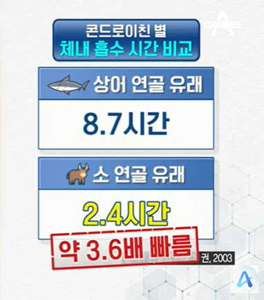 콘드로이친 효능 부작용 복용법