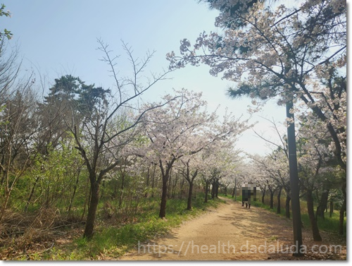 영종도 둘레길 1코스 건강백년길 주차장