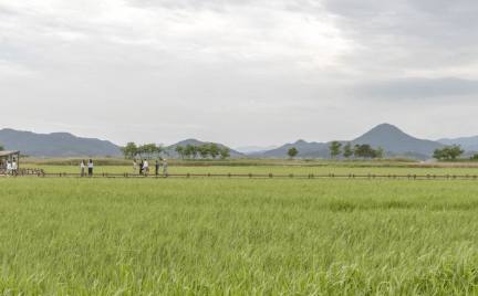 가을여행지 순천만습지