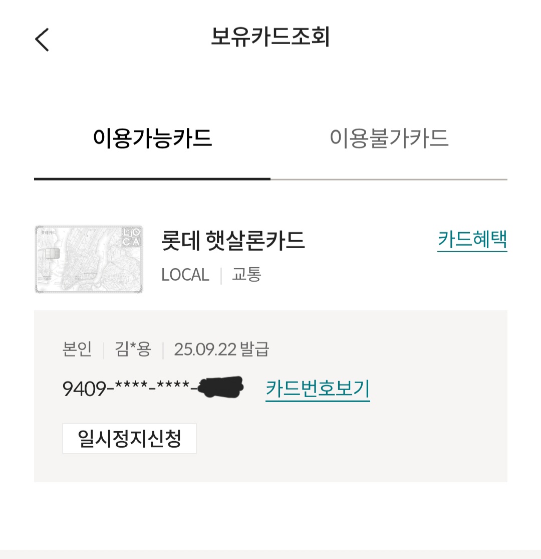 블로거가 직접 발급받아 사용 중인 롯데 햇살론카드 실물 사진. 260만 원 한도로 승인된 실제 카드 인증 모습