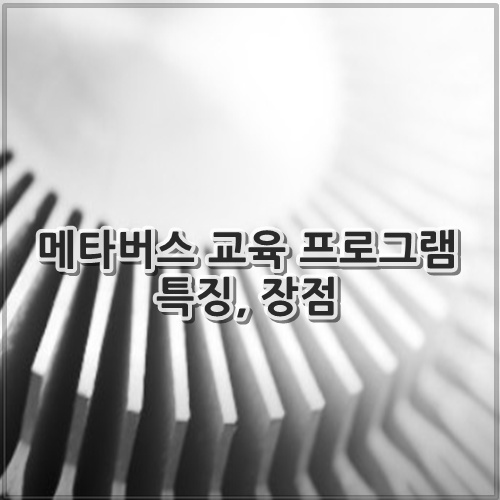 메타버스 교육 프로그램 특징, 장점