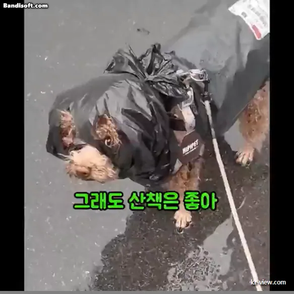 img.webp?credential=yqXZFxpELC7KVnFOS48ylbz2pIh7yKj8&expires=1767193199&allow_ip=&allow_referer=&signature=otp695SOridjIpLwR6YdfYXP9fU%3D