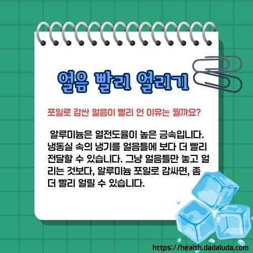 얼음 어는 시간 얼음 빨리 얼리는 법
