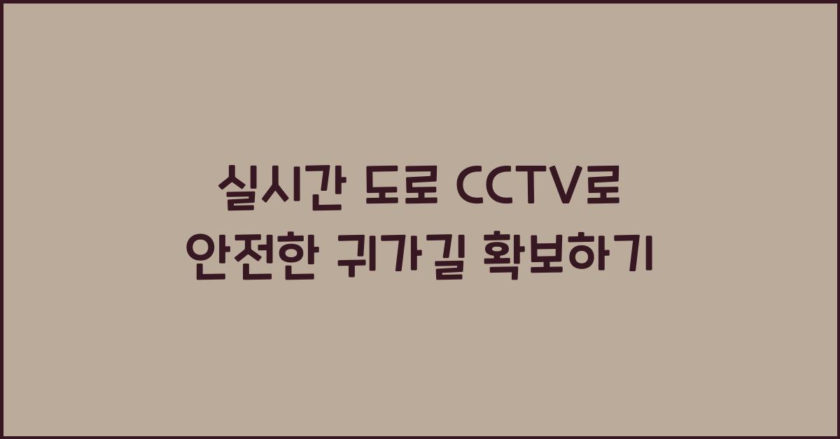 실시간 도로 cctv