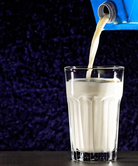 임산부 멸균우유 먹어도 될까? 장점과 단점, 유통기한과 소비기한