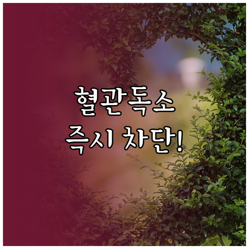 혈관 건강 지키는 포화지방 트랜스지방..