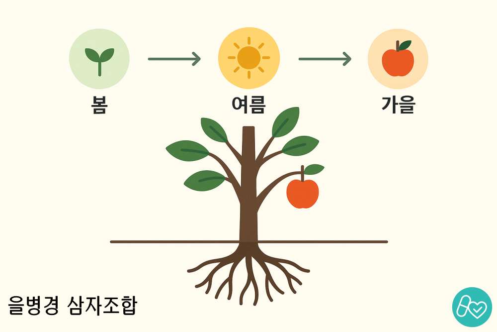 을병경삼자조합 사주구조 시공명리학