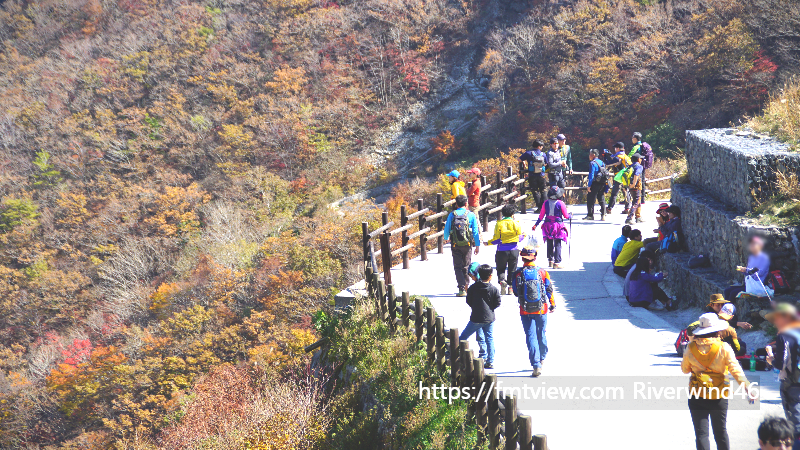 영남알프스 간월재의 가을