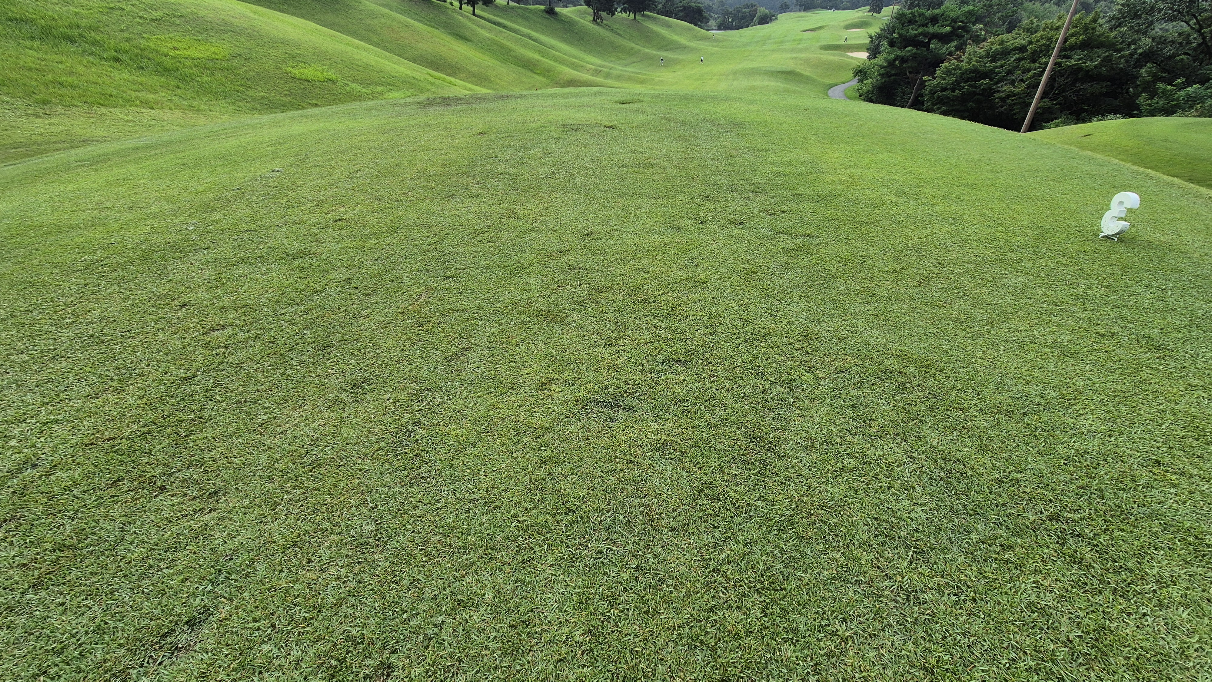 한림용인cc 다이아몬드-사파이어 코스 라운드 후기