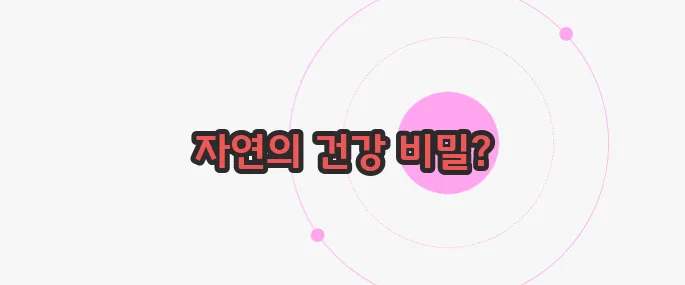 산수유 효능 천천히 들여다보죠