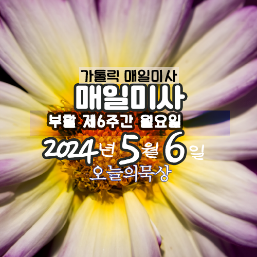 5월 6일 매일미사