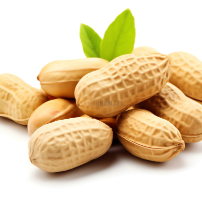 햇땅콩 피땅콩 삶는 법 보관 방법15