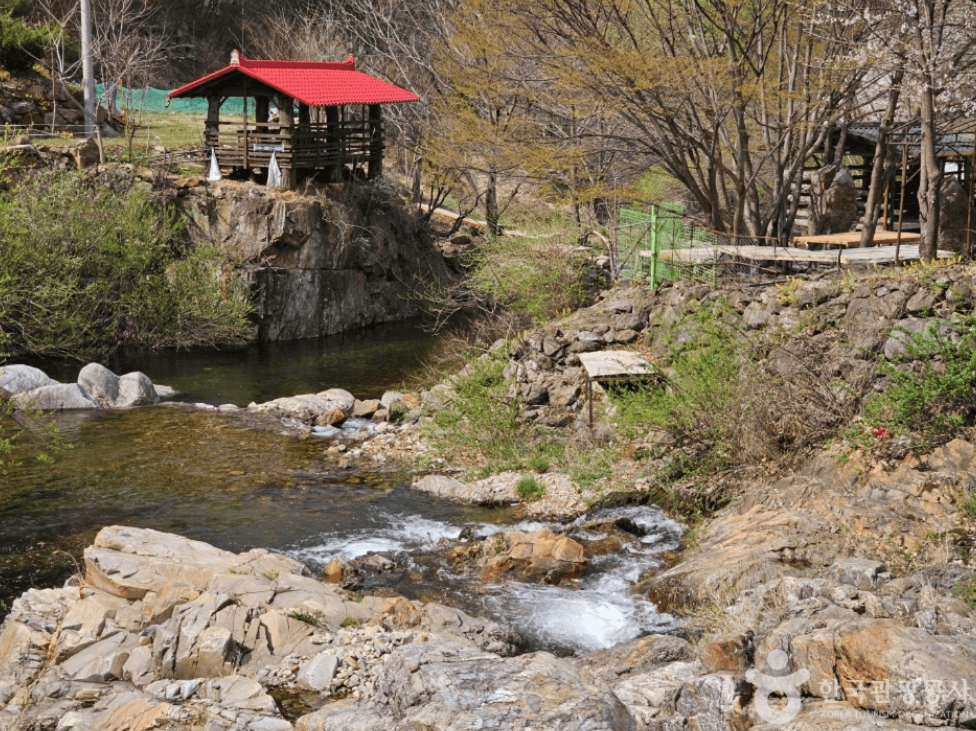 영동군 물한계곡
