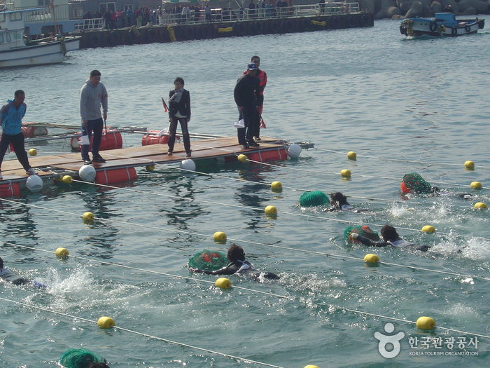 2024년 11월, 12월 축제 총정리