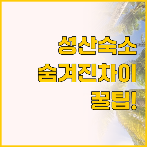 제주 성산 숙소 고민 끝! 프롬 H ..